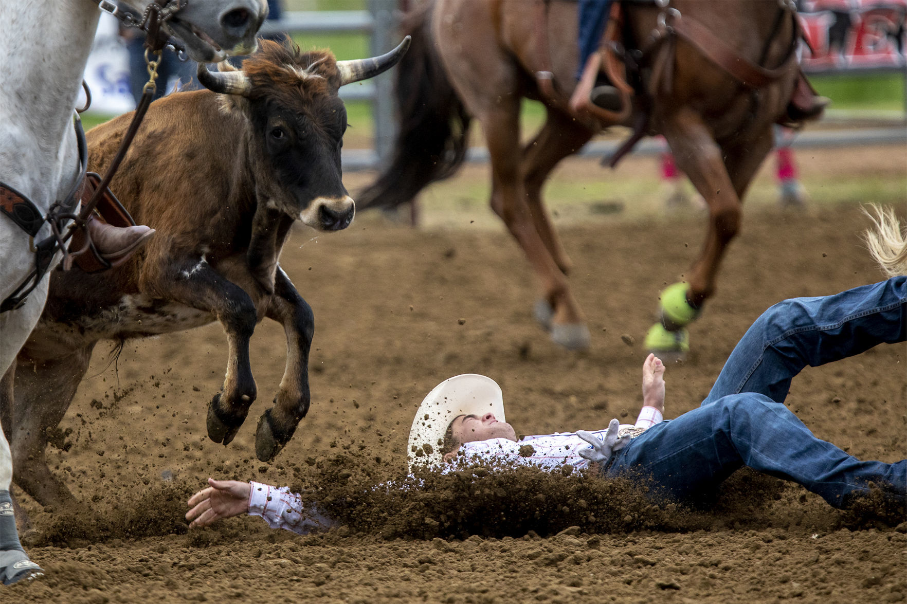 Rodeo gallery
